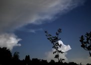 IMG_0378.jpeg