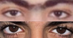 1784037294955.png