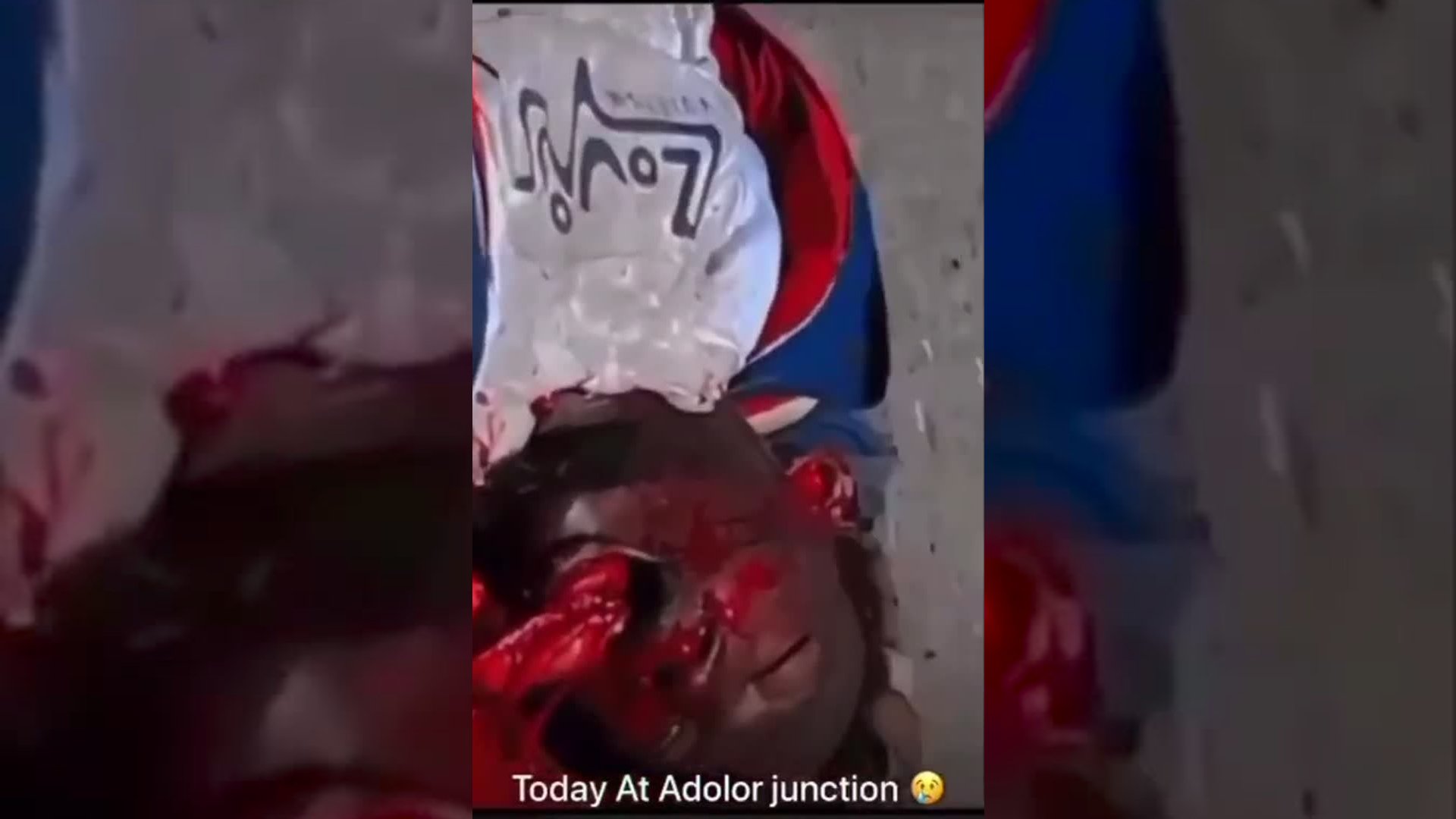 bestgore.fun